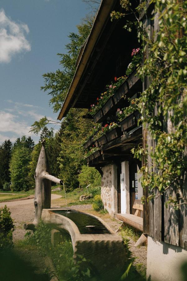 Der Hirschen Hotel Sankt Märgen Kültér fotó